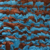 Blue and brown